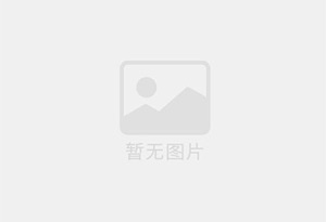 水平链板输送机